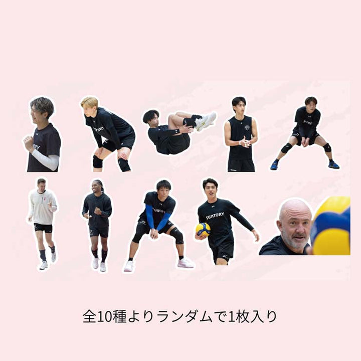 サントリーサンバーズ大阪展オリジナルシークレットステッカー（全10種）