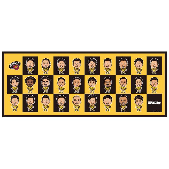 24-25イラストタオル