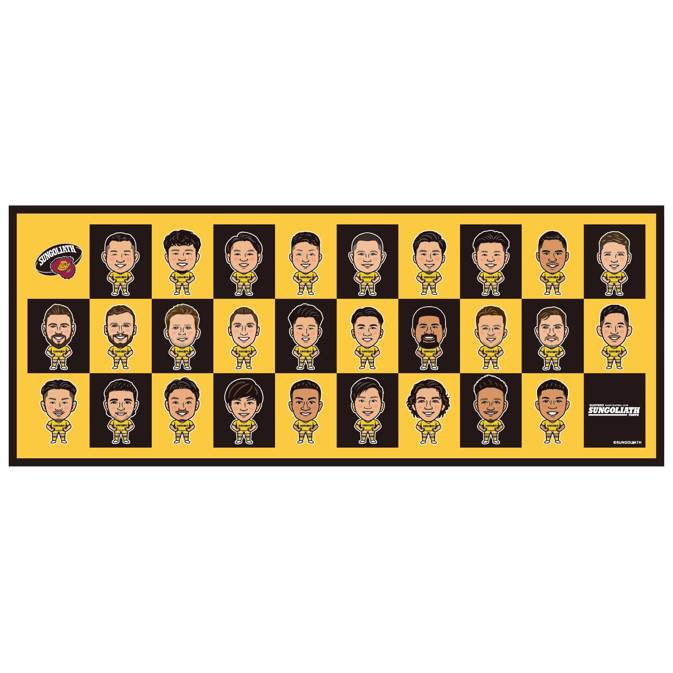 24-25イラストタオル