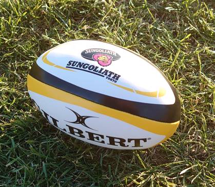 サンゴリアス　スポンジボール