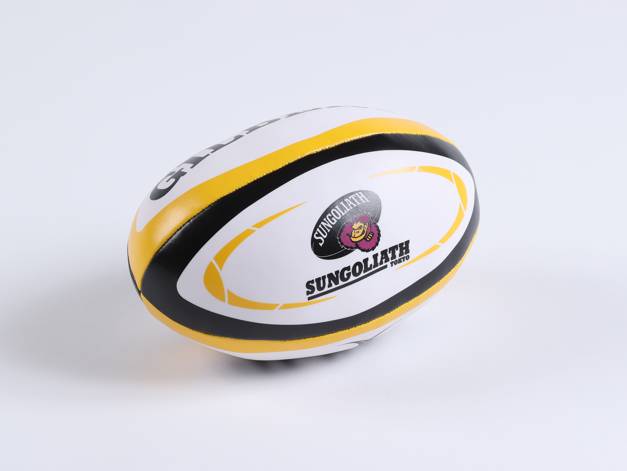 サンゴリアス　スポンジボール